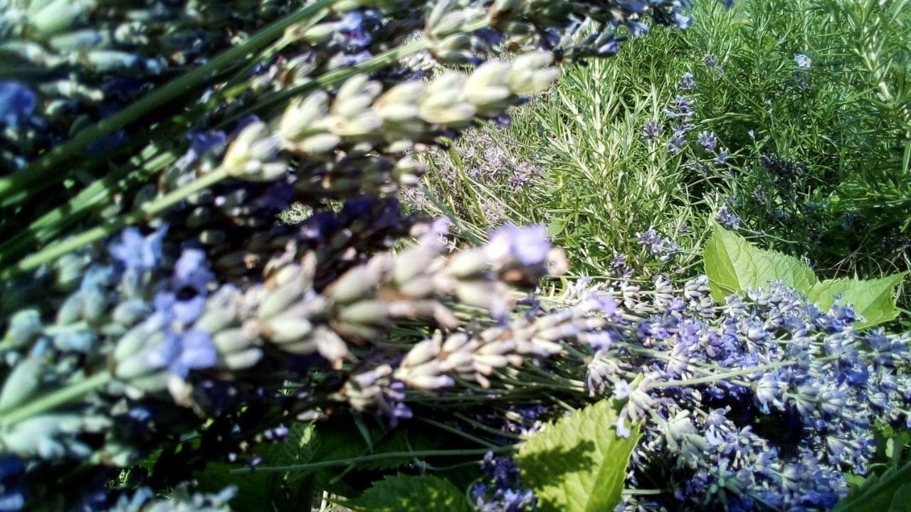 Sobe Lavanda Kladovo Exterior foto