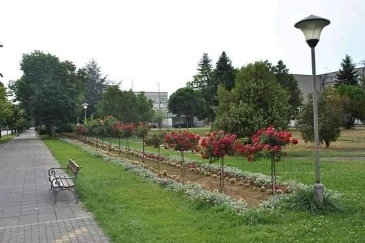 Sobe Lavanda Kladovo Exterior foto